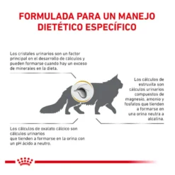Royal Canin Veterinary Urinary pienso para gatos