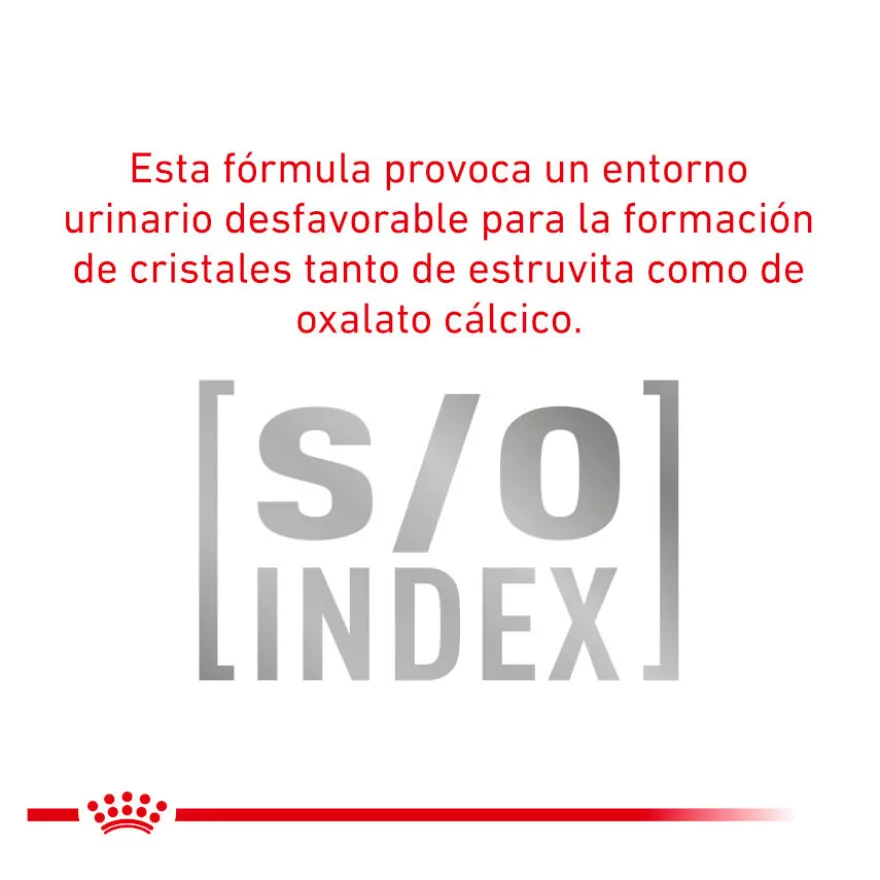 Royal Canin Veterinary Urinary Moderate Calorie sobres para gatos