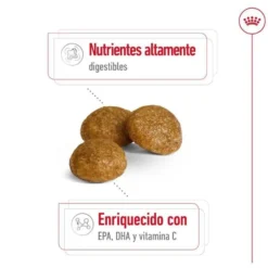 Royal Canin X-Small Adult pienso para perros
