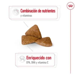 Royal Canin X-Small Ageing 12+ pienso para perros senior