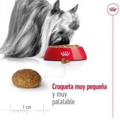 Royal Canin X-Small 8+ Mature pienso para perros