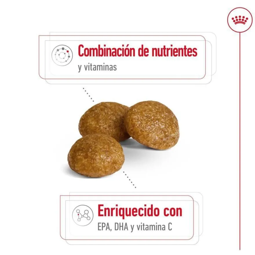 Royal Canin X-Small 8+ Mature pienso para perros