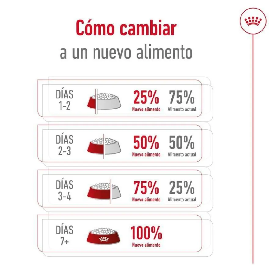 Royal Canin X-Small 8+ Mature pienso para perros