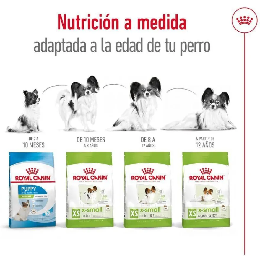 Royal Canin X-Small 8+ Mature pienso para perros