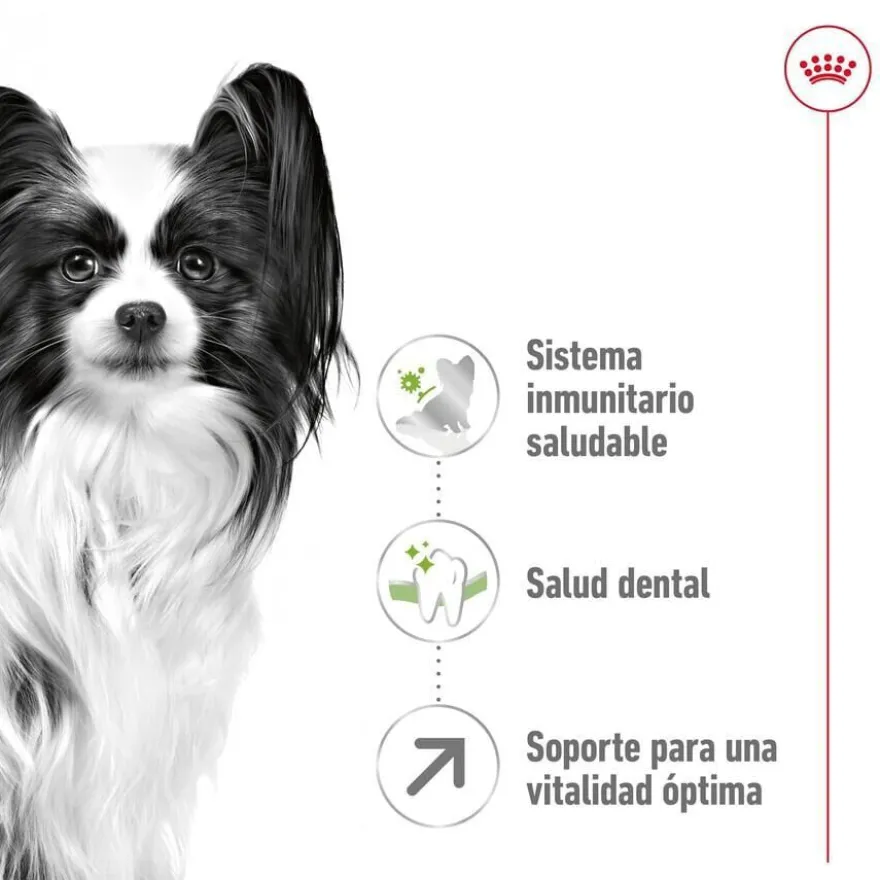 Royal Canin X-Small 8+ Mature pienso para perros