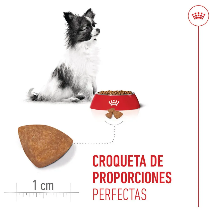 Royal Canin X-Small Puppy pienso para perros