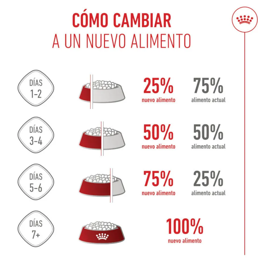 Royal Canin X-Small Puppy pienso para perros