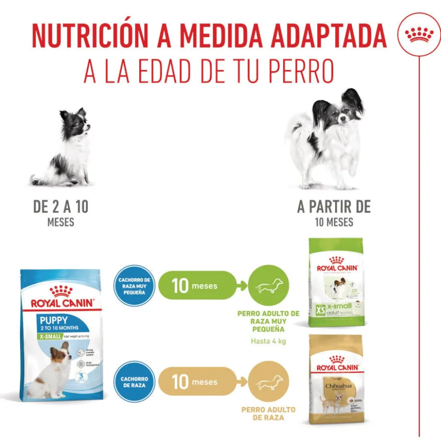 Royal Canin X-Small Puppy pienso para perros