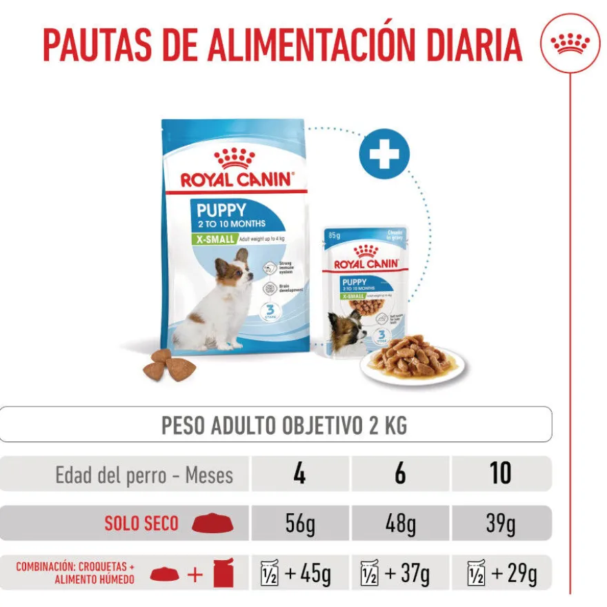 Royal Canin X-Small Puppy pienso para perros