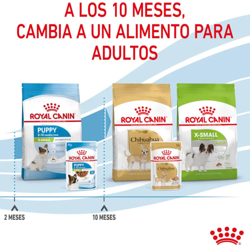 Royal Canin X-Small Puppy Trocitos en Salsa sobre para perros