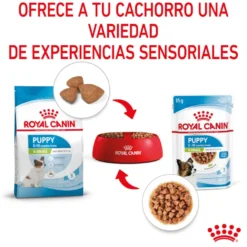 Royal Canin X-Small Puppy Trocitos en Salsa sobre para perros