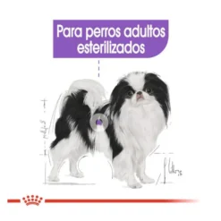 Royal Canin X-Small Sterilised pienso para perros