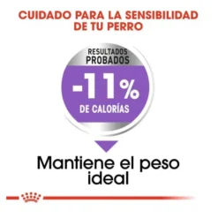 Royal Canin X-Small Sterilised pienso para perros