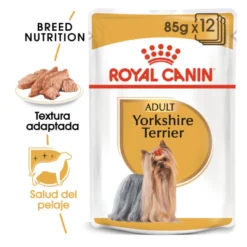 Royal Canin Yorkshire Terrier sobre para perros
