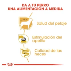 Royal Canin Yorkshire Terrier sobre para perros
