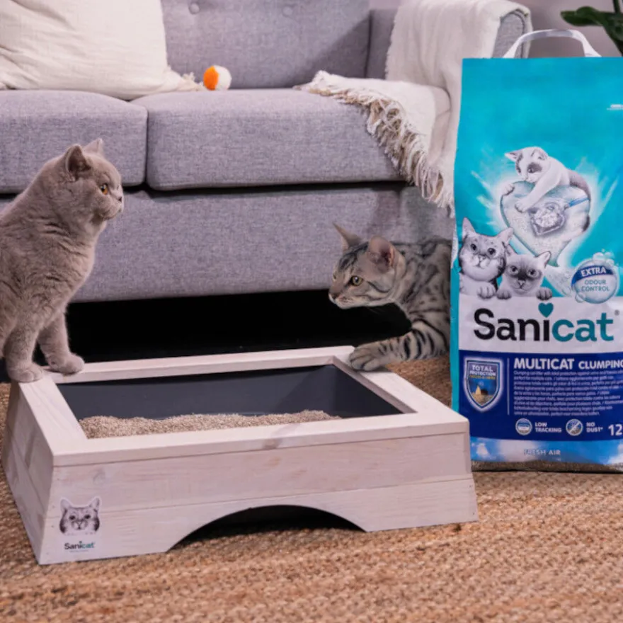 Sanicat Multicat Cumpling Aire Fresco Arena para gatos