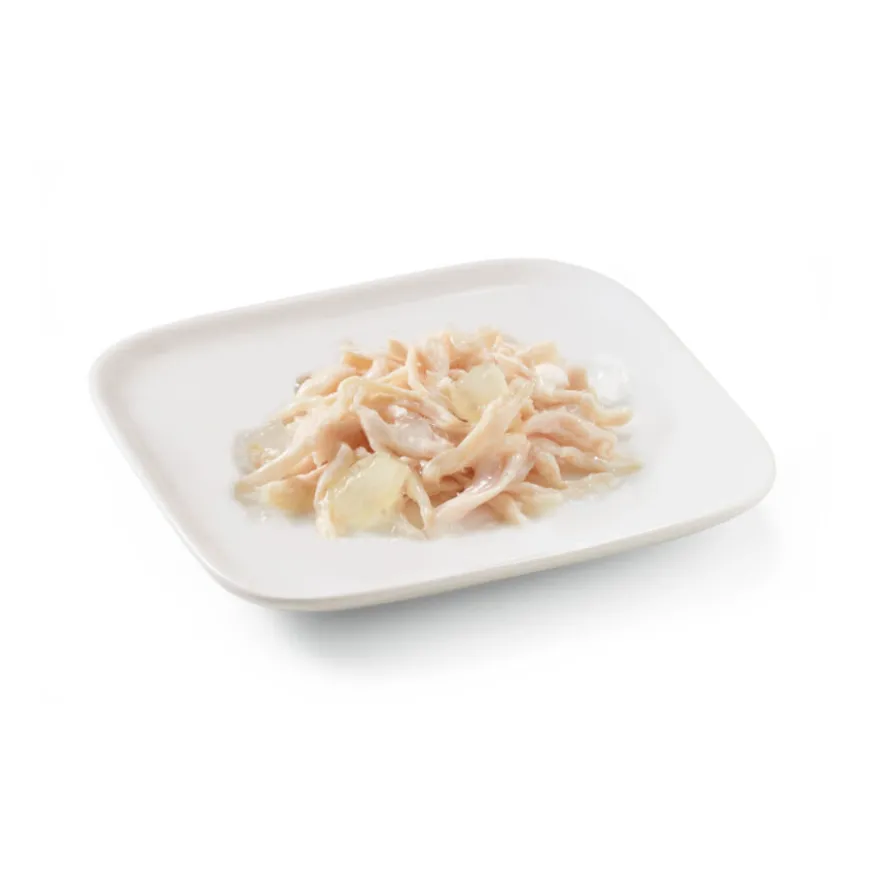 Schesir Adult pollo con aloe en gelatina lata para perros