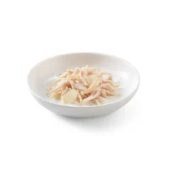 Schesir Kitten pollo con aloe latas para gatos