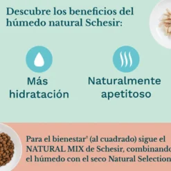 Schesir Kitten pollo con aloe latas para gatos