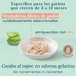 Schesir Kitten pollo con aloe latas para gatos