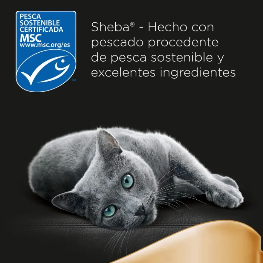 Sheba Delicatezze Selección Mixta Gelatina en Bolsita para Gatos - Multipack