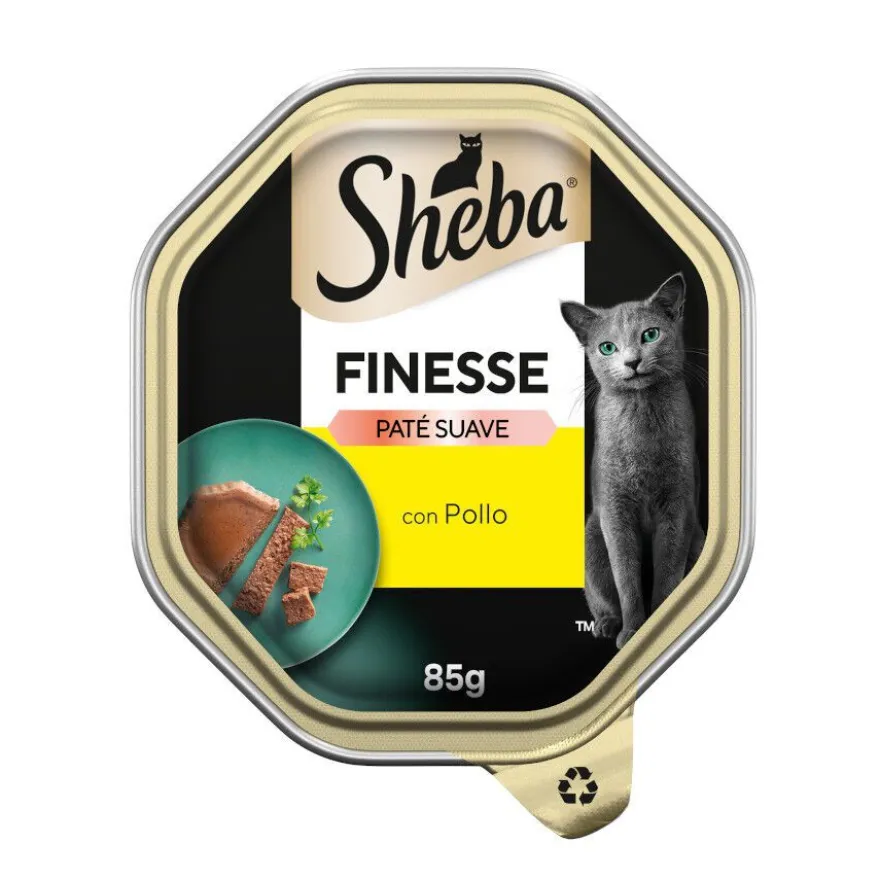 Sheba Finesse Pollo en Paté tarrina para gatos