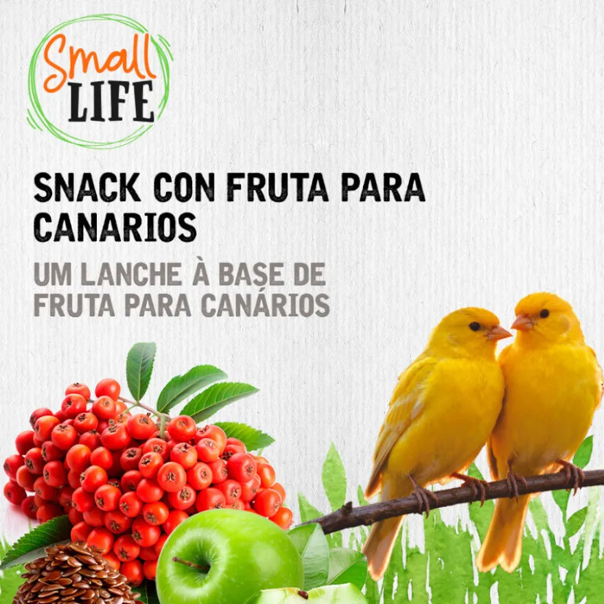 Small Life Barritas Snack con Fruta para canarios