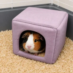 Small Life cama con forma de cubo para roedores