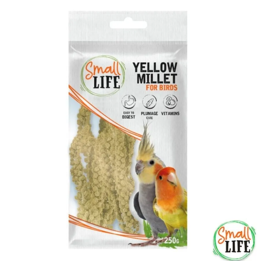 Small Life Kit de Iniciación para pájaros