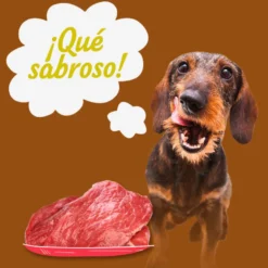 Start! Adult Pollo, Ternera y Cordero en Salsa lata para perros – Multipack