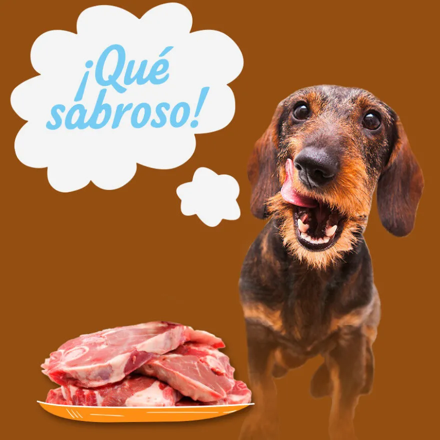 Start! Adult Pollo, Ternera y Cordero en Gelatina lata para perros