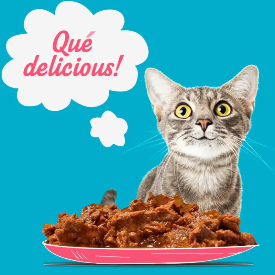Start Cat Carne con Pollo y Pescado en Gelatina sobre para gatos