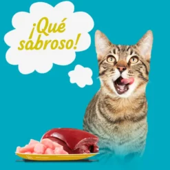 Start Multipack de Carne en Salsa para Gatos