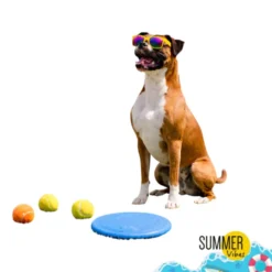 Summer Vibes Frisbee con Pelota Juguete Azul para perros