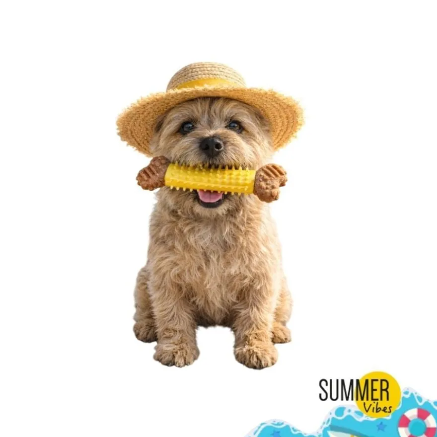 Summer Vibes Mordedor Hueso Juguete para perros