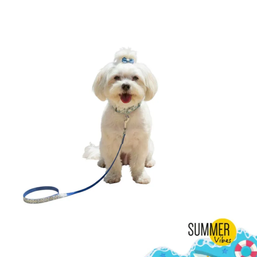 Summer Vibes Pack Correa y Collar Dolce Vita para perros