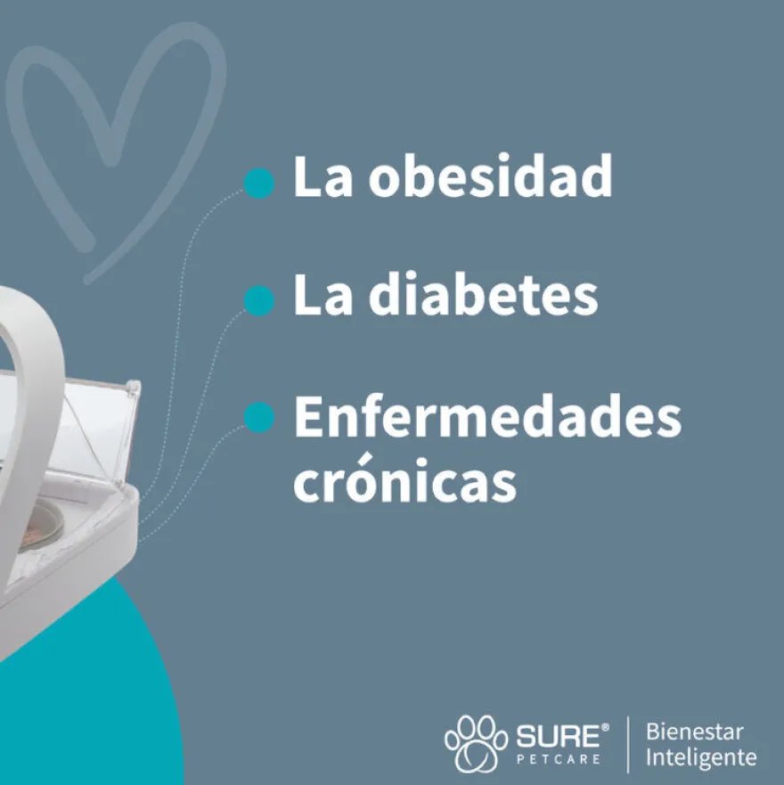 Sure Petcare Surefeed Comedero Automático con Microchip