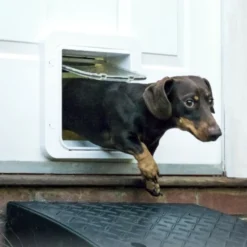 Sure Petcare SureFlap Puerta Automática Blanca con Microchip