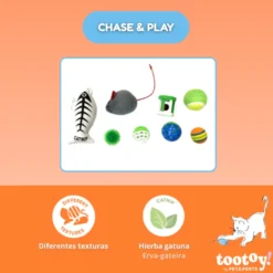 Tootoy! Caja de Juguetes Variados para gatos