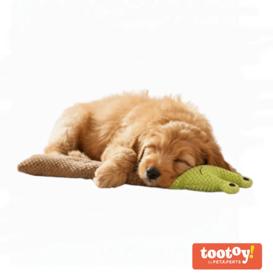 Tootoy! Caracol de Peluche Extensible con Sonido para perros