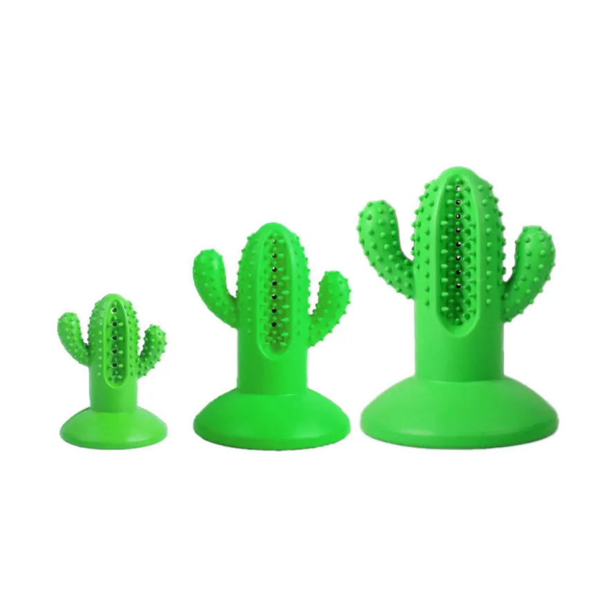 Tootoy! Chew Dental Hygiene Cactus mordedor para perros