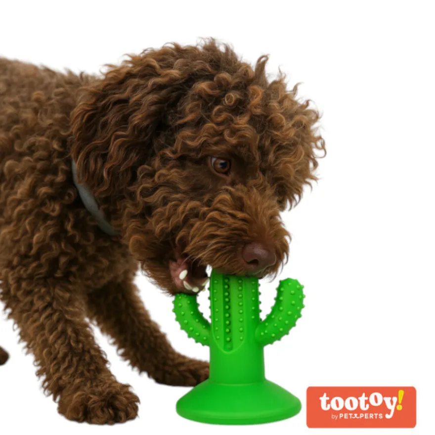 Tootoy! Chew Dental Hygiene Cactus mordedor para perros