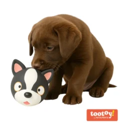 Tootoy! Chew French Bulldog mordedor de látex con sonido para perros