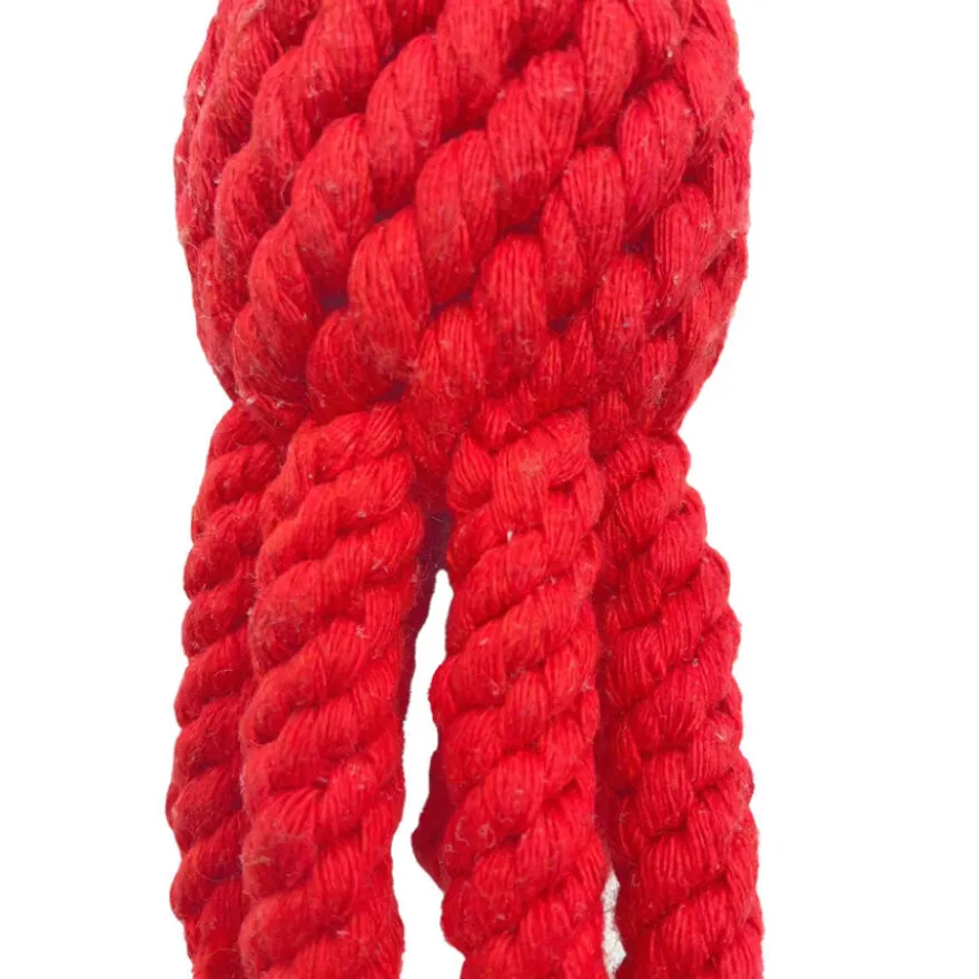 Tootoy! Comfort Octopus & Sea juguete de cuerda para perros