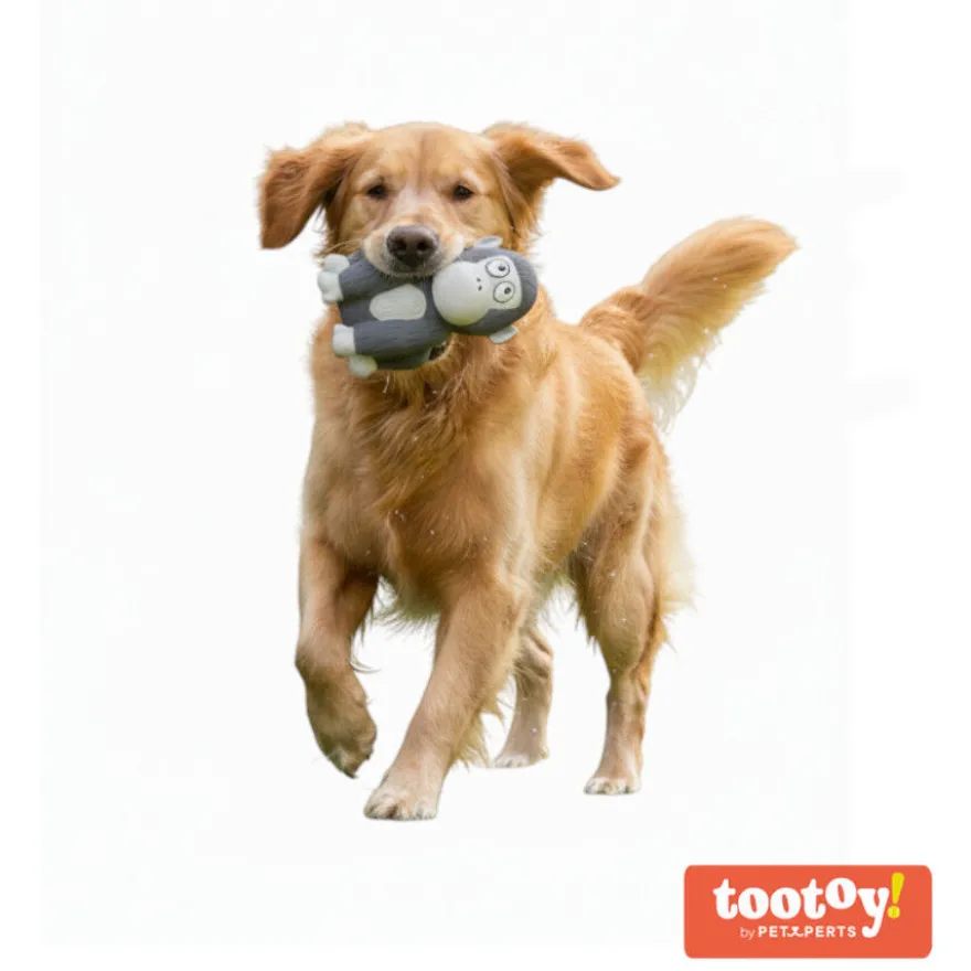 Tootoy! Gorila Mordedor con Sonido para perros