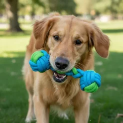 Tootoy! Hueso Mordedor de Cuerda Verde y Azul para perros
