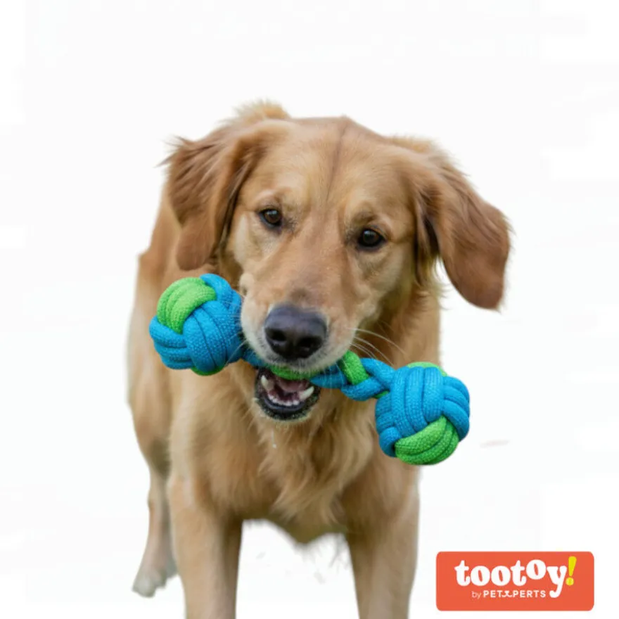 Tootoy! Hueso Mordedor de Cuerda Verde y Azul para perros