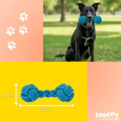Tootoy! Hueso Mordedor de Cuerda Azul para perros