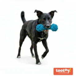 Tootoy! Hueso Mordedor de Cuerda Azul para perros