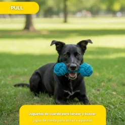 Tootoy! Hueso Mordedor de Cuerda Azul para perros